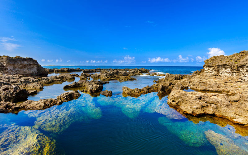 專(zhuān)業(yè)律師團(tuán)隊(duì)